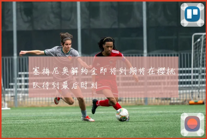 塞梅尼奥解约金即将到期将在樱桃队待到最后时刻